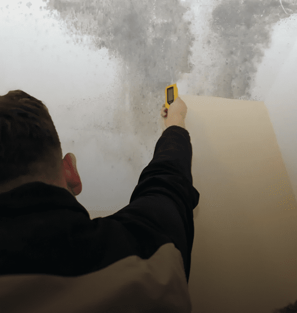 Person checking moldy wall