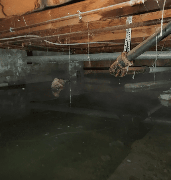 Waterlogged basement with overhead pipes